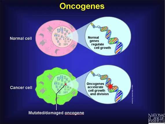 Oncogene